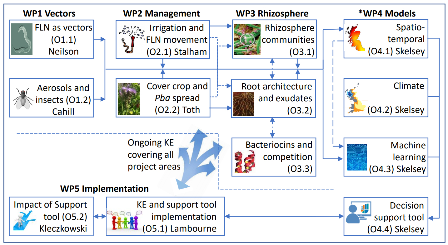 work package links diagram