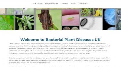 Bacterial Plant Disease UK website