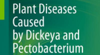 Front page of Dickeya and Pectobacterium book