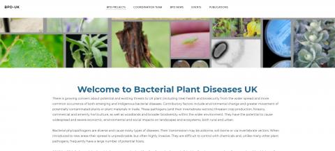 Bacterial Plant Disease UK website